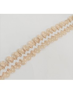 Carrucha de pétalos 2