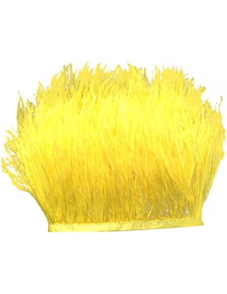 Cinta plumas avestruz