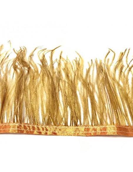 Cinta plumas avestruz