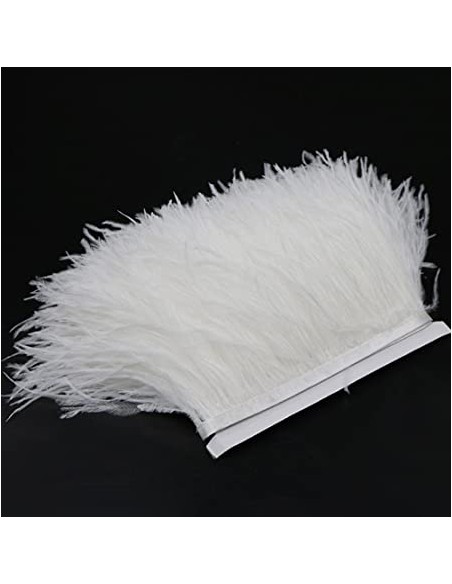 Cinta plumas avestruz