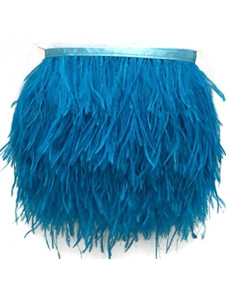 Cinta plumas avestruz