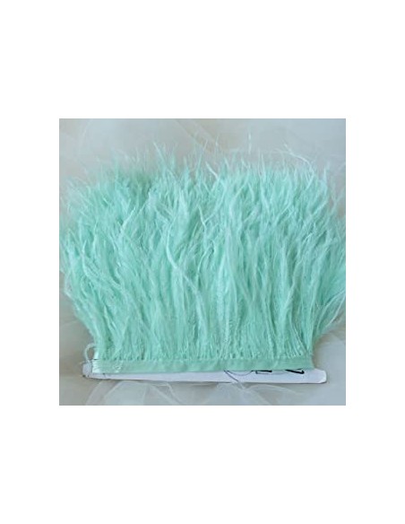 Cinta plumas avestruz