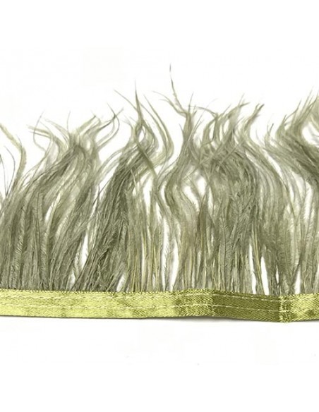Cinta plumas avestruz