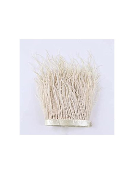 Cinta plumas avestruz