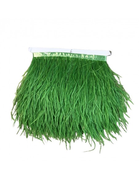 Cinta plumas avestruz