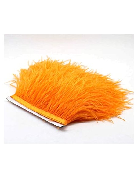 Cinta plumas avestruz